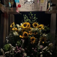本日もありがとうございました🩷