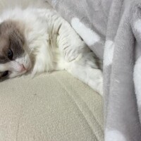 🩵シフト出したよ🩵