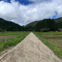 旅に出ています