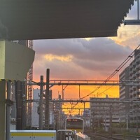 くっきんぐぱぱ