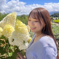 next29日