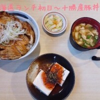 【北海道里帰り初日ランチ～十勝産豚丼～】