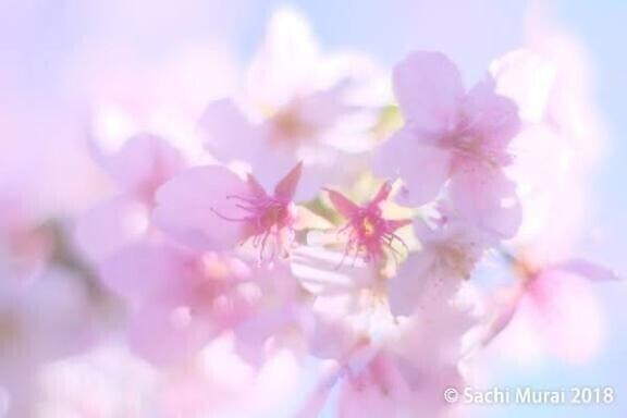 ご予約頂いていた紳士様