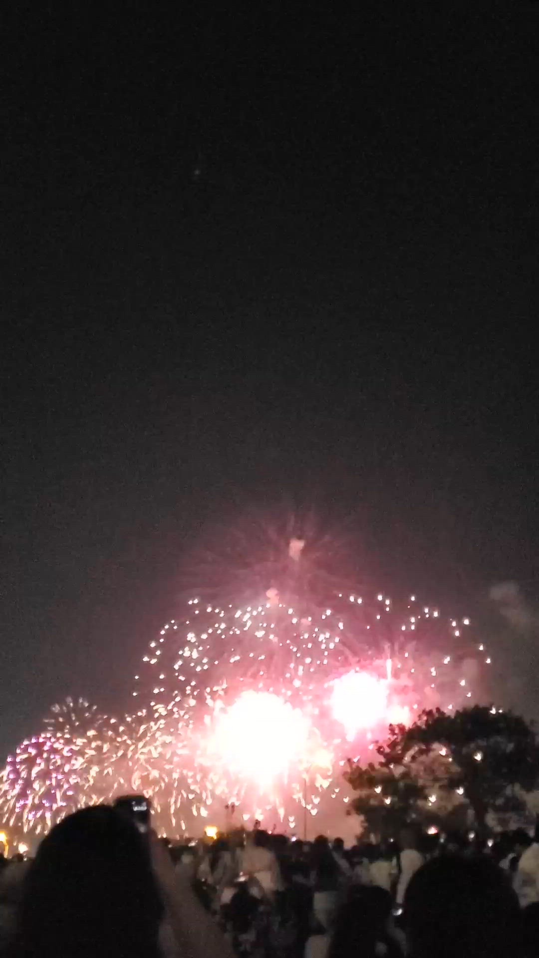 また来年のたのしみ