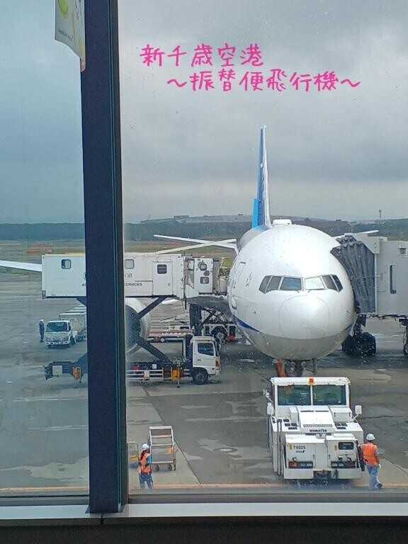 【新千歳空港～振替便飛行機～】