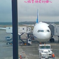 【新千歳空港～振替便飛行機～】