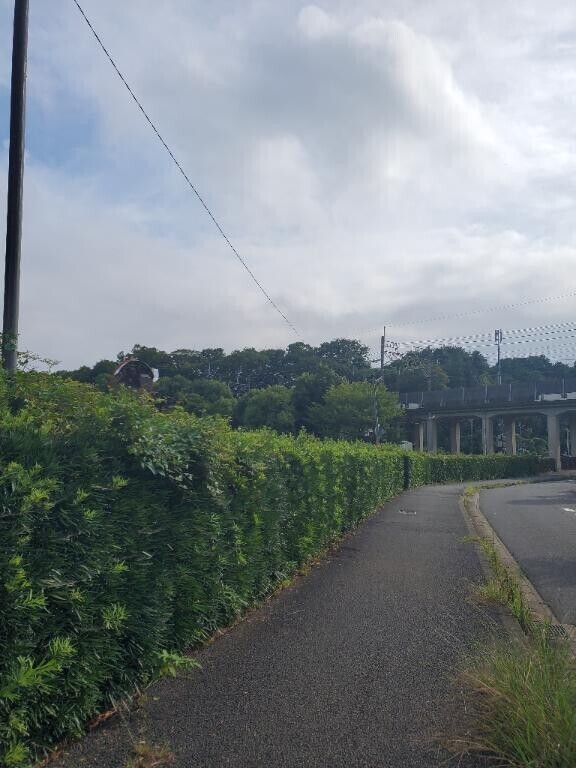 おち〇ぽ足りない( ´･ω･`)