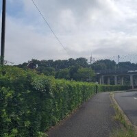 おち〇ぽ足りない( ´･ω･`)