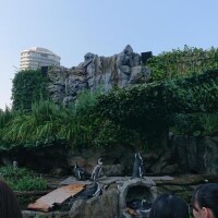 おとといのお礼遅くなってしまいましたぁ