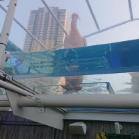 9月から、お知らせがあります