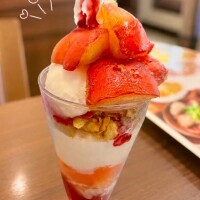 屋形船のりたい