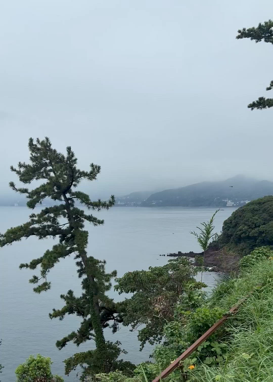 のんびり