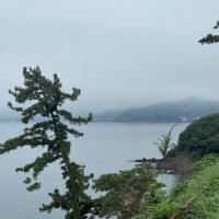 のんびり