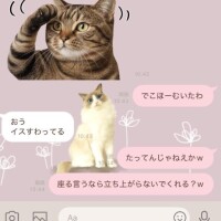 🩵流石すぎるわ🩵