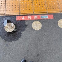 初めまして♡