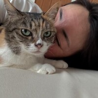 おはようございます