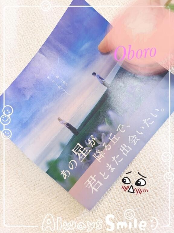 観るのは、コレっ！