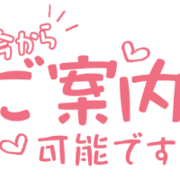 【動画】今日はどんな…