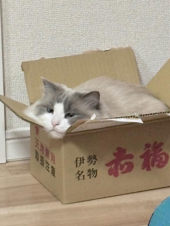 🩵おなじ🩵