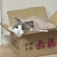 🩵おなじ🩵