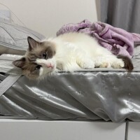 🩵口コミありがとう🩵