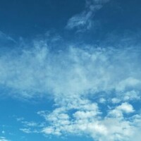 あん