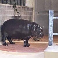 出勤