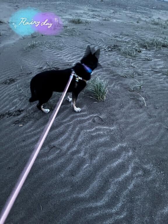 わんっ