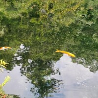 穏やかがいい。