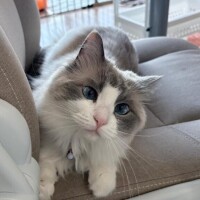 全てよしじゃん？