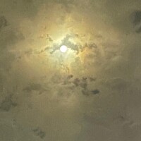 月見る月は多けれど月見る月はこの月の月
