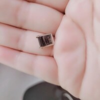 ヌキたくない…