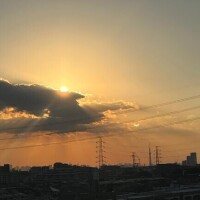 おとはです。