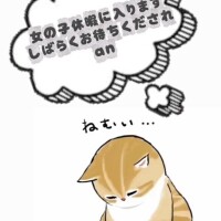 最近のご報告…