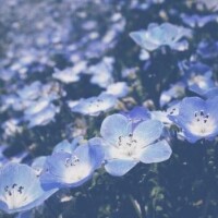 10月08日100分のY様