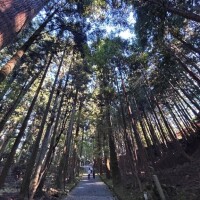 山にいました