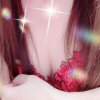 今日までです