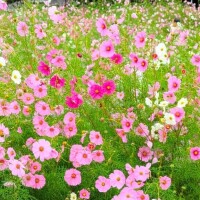 10/16のお礼♡Iさま