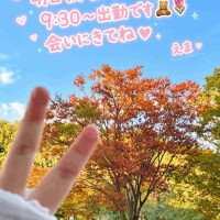 明日は