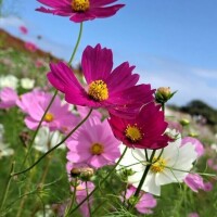 ▲10/20のお礼♡Tさま
