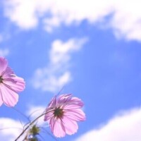 本指様10月16日100分S様