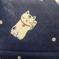 ありがとう(ФωФ)