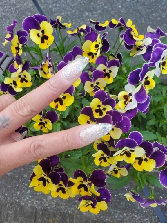 明日は午後のみ
