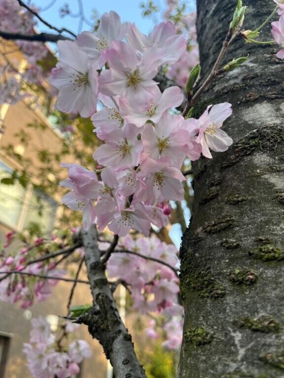 おはようございます