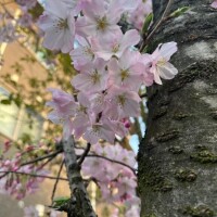 もーぉー