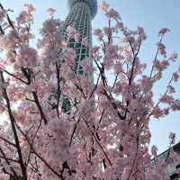 どーーーん??