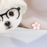 感謝??