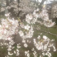 ?を見ながら