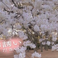 出勤のお知らせ～！