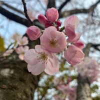 明日は夜出勤！